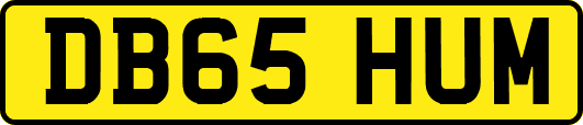 DB65HUM