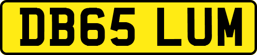DB65LUM