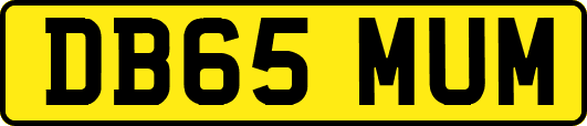 DB65MUM