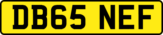 DB65NEF