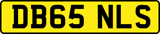 DB65NLS