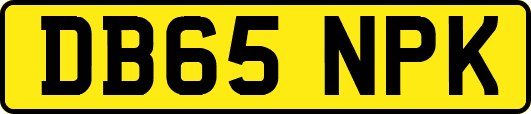 DB65NPK