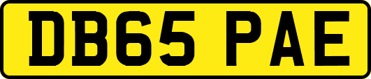 DB65PAE