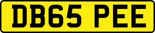 DB65PEE