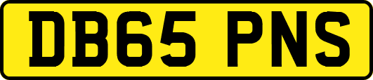 DB65PNS