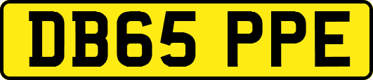 DB65PPE