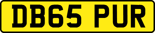 DB65PUR
