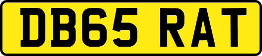 DB65RAT
