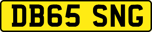 DB65SNG