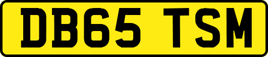 DB65TSM