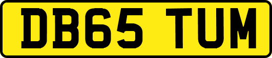 DB65TUM