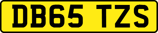 DB65TZS