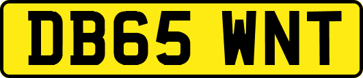 DB65WNT