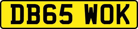 DB65WOK