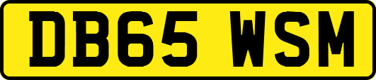 DB65WSM
