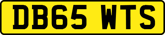 DB65WTS