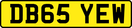 DB65YEW