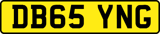 DB65YNG