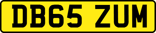 DB65ZUM
