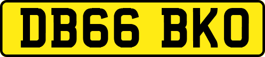 DB66BKO