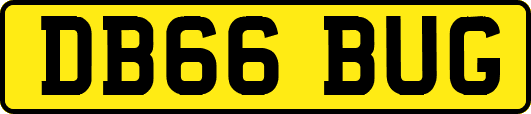 DB66BUG