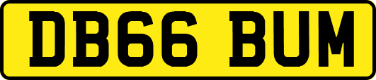 DB66BUM
