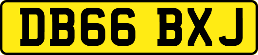 DB66BXJ