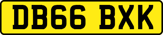 DB66BXK