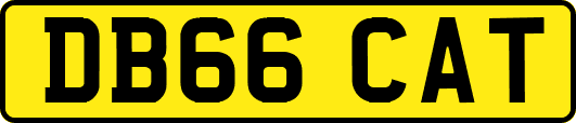 DB66CAT