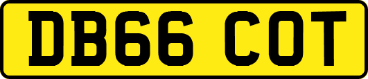 DB66COT