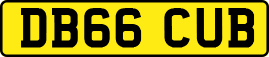 DB66CUB