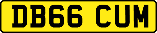 DB66CUM