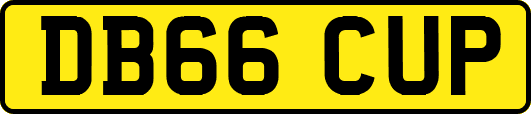 DB66CUP