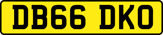 DB66DKO