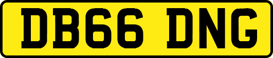 DB66DNG