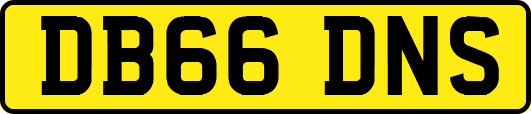 DB66DNS