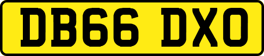DB66DXO