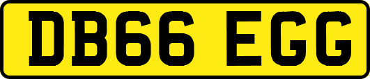 DB66EGG