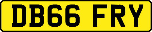 DB66FRY