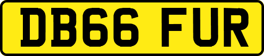 DB66FUR