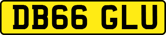 DB66GLU