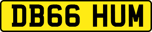 DB66HUM
