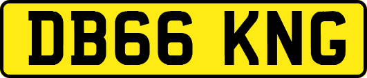 DB66KNG