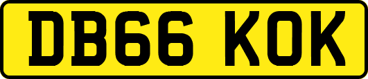 DB66KOK