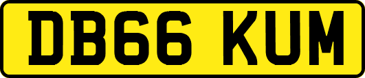 DB66KUM