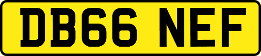 DB66NEF