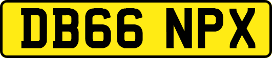DB66NPX