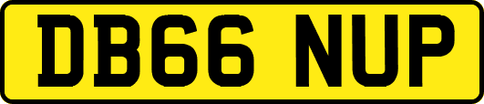 DB66NUP