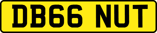 DB66NUT