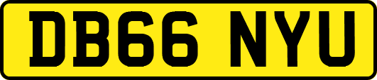 DB66NYU